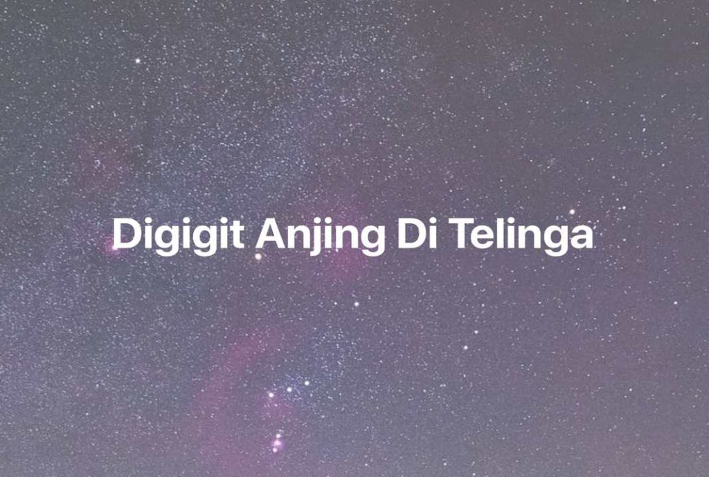 Gambar Mimpi Digigit Anjing Di Telinga