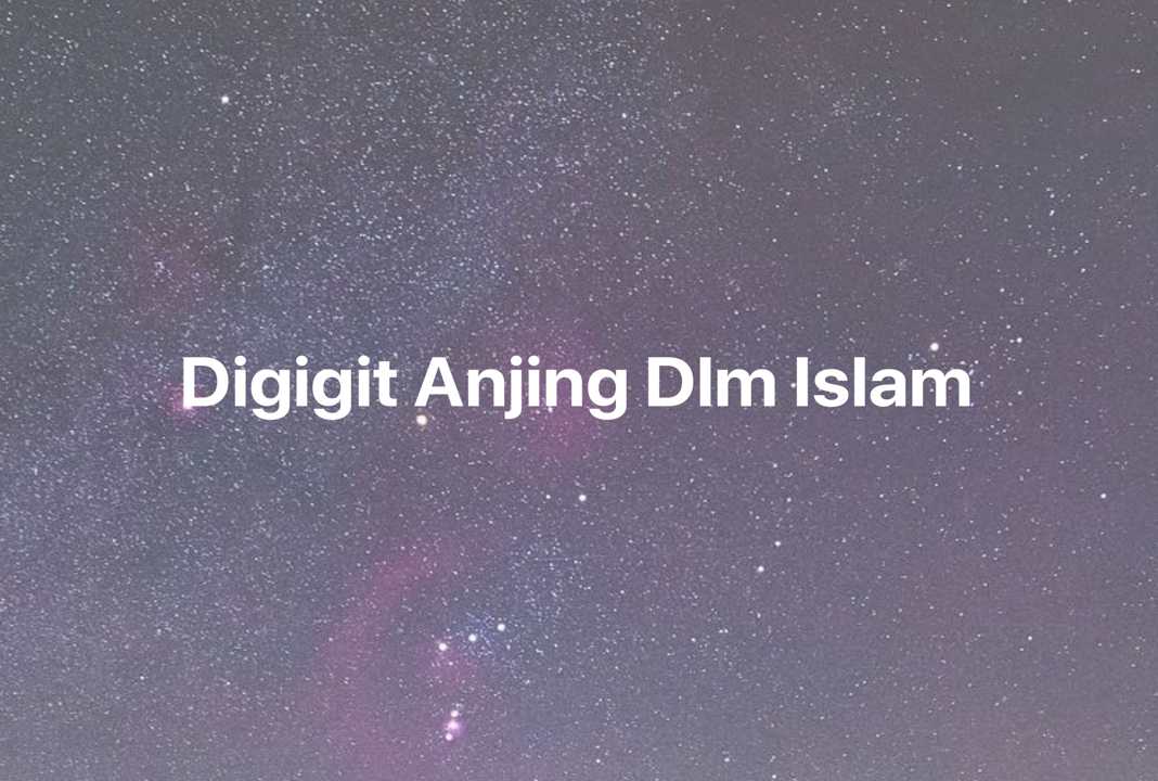 Gambar Mimpi Digigit Anjing Dlm Islam