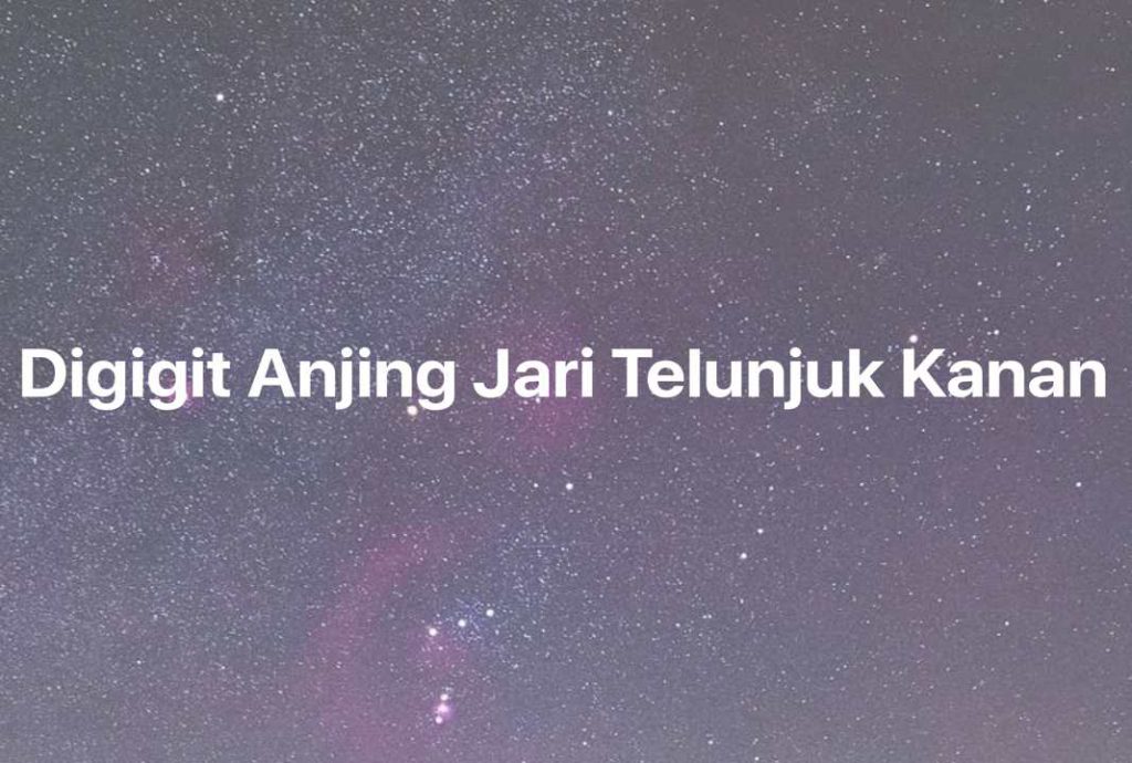 Gambar Mimpi Digigit Anjing Jari Telunjuk Kanan