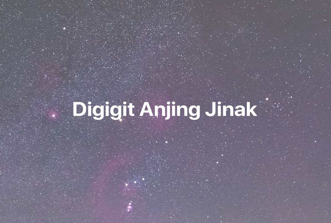 Gambar Mimpi Digigit Anjing Jinak