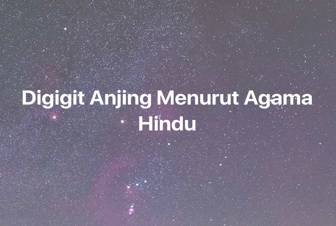 Gambar Mimpi Digigit Anjing Menurut Agama Hindu