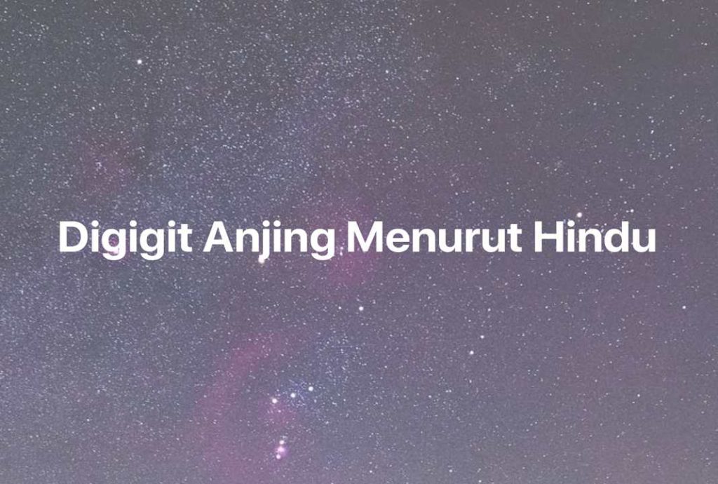 Gambar Mimpi Digigit Anjing Menurut Hindu