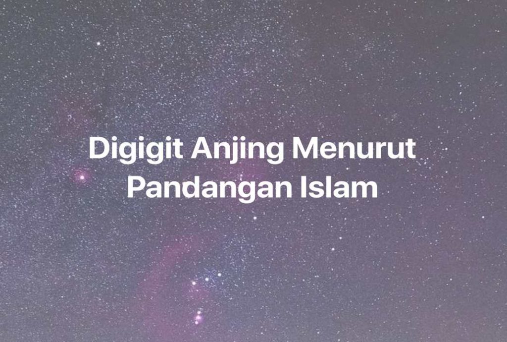 Gambar Mimpi Digigit Anjing Menurut Pandangan Islam