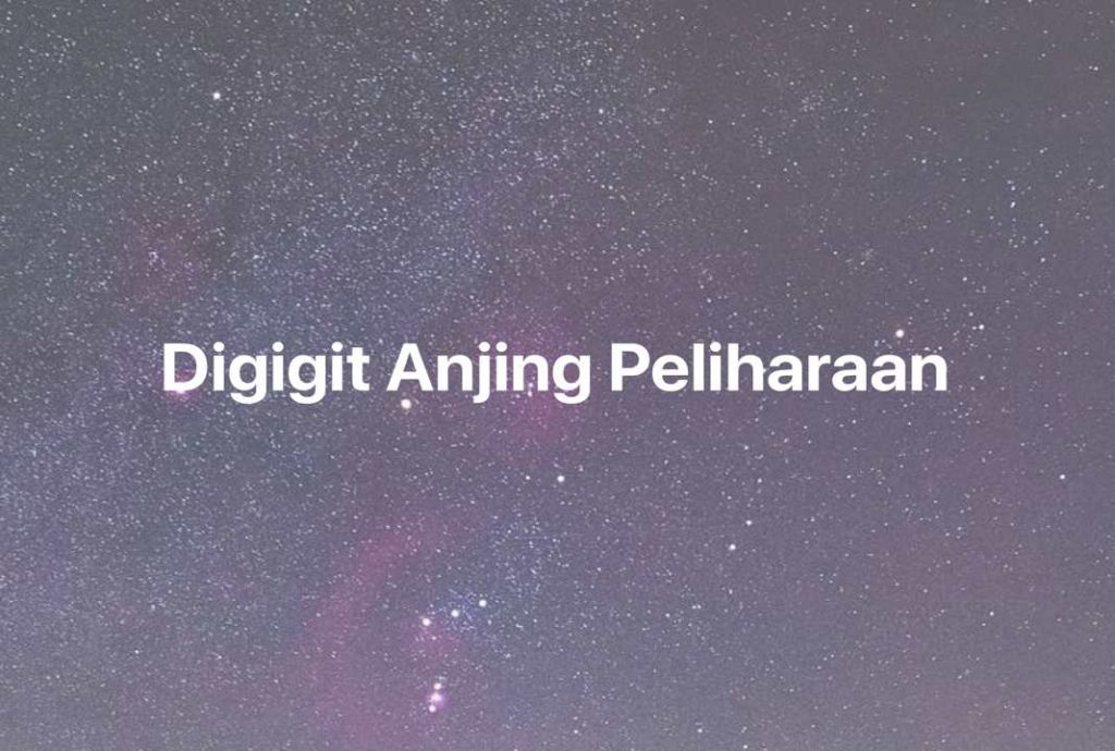 Gambar Mimpi Digigit Anjing Peliharaan