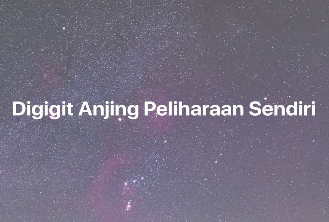 Gambar Mimpi Digigit Anjing Peliharaan Sendiri