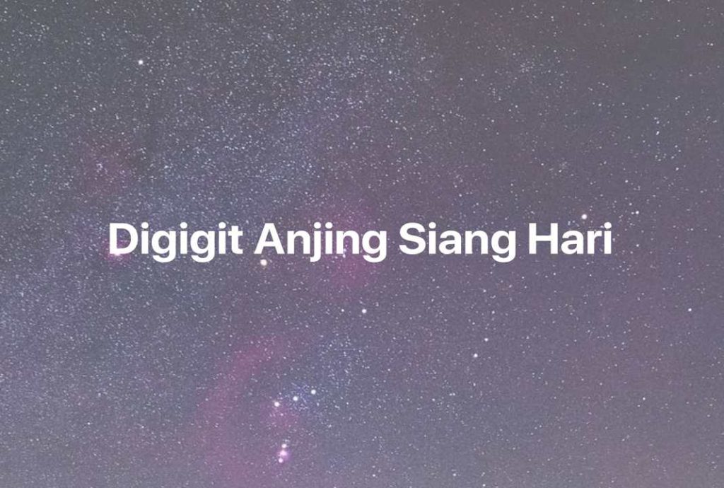 Gambar Mimpi Digigit Anjing Siang Hari