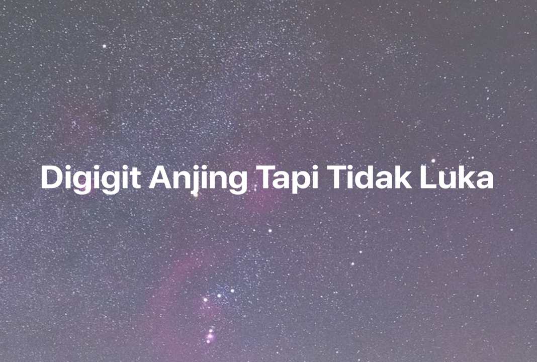 Gambar Mimpi Digigit Anjing Tapi Tidak Luka