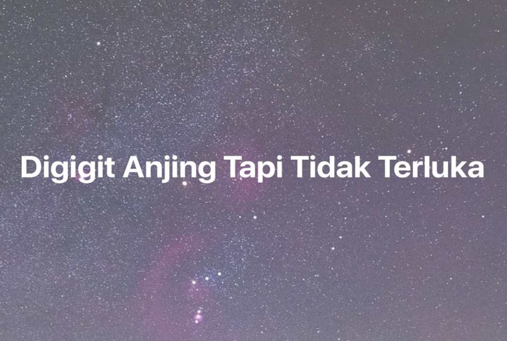 Gambar Mimpi Digigit Anjing Tapi Tidak Terluka