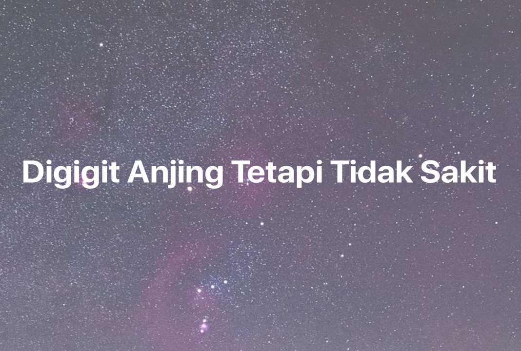 Gambar Mimpi Digigit Anjing Tetapi Tidak Sakit