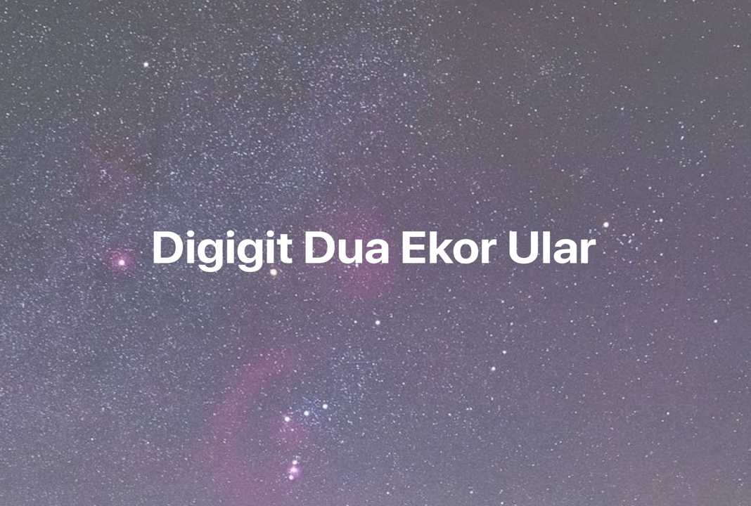 Gambar Mimpi Digigit Dua Ekor Ular