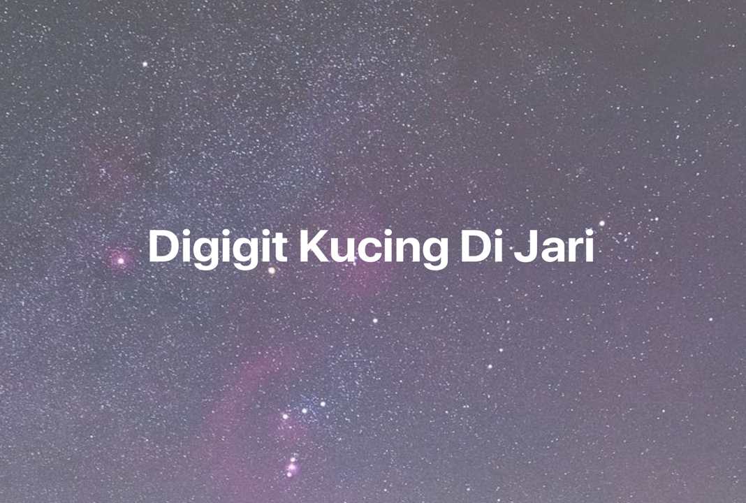 Gambar Mimpi Digigit Kucing Di Jari