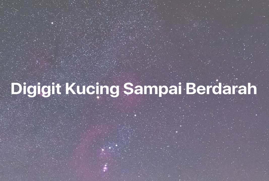 Gambar Mimpi Digigit Kucing Sampai Berdarah