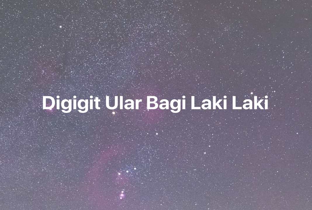 Gambar Mimpi Digigit Ular Bagi Laki Laki