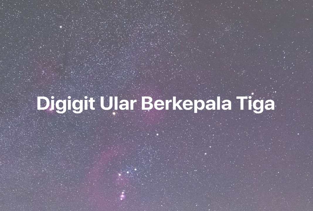 Gambar Mimpi Digigit Ular Berkepala Tiga