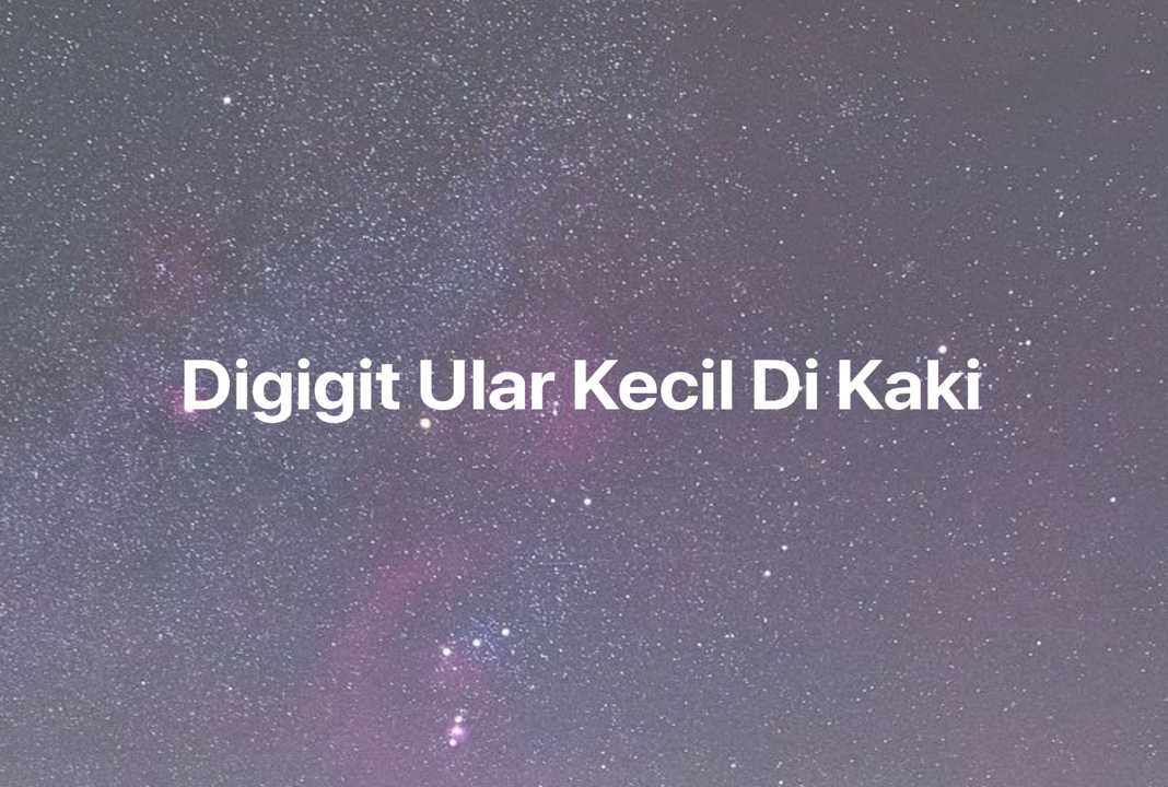 Gambar Mimpi Digigit Ular Kecil Di Kaki