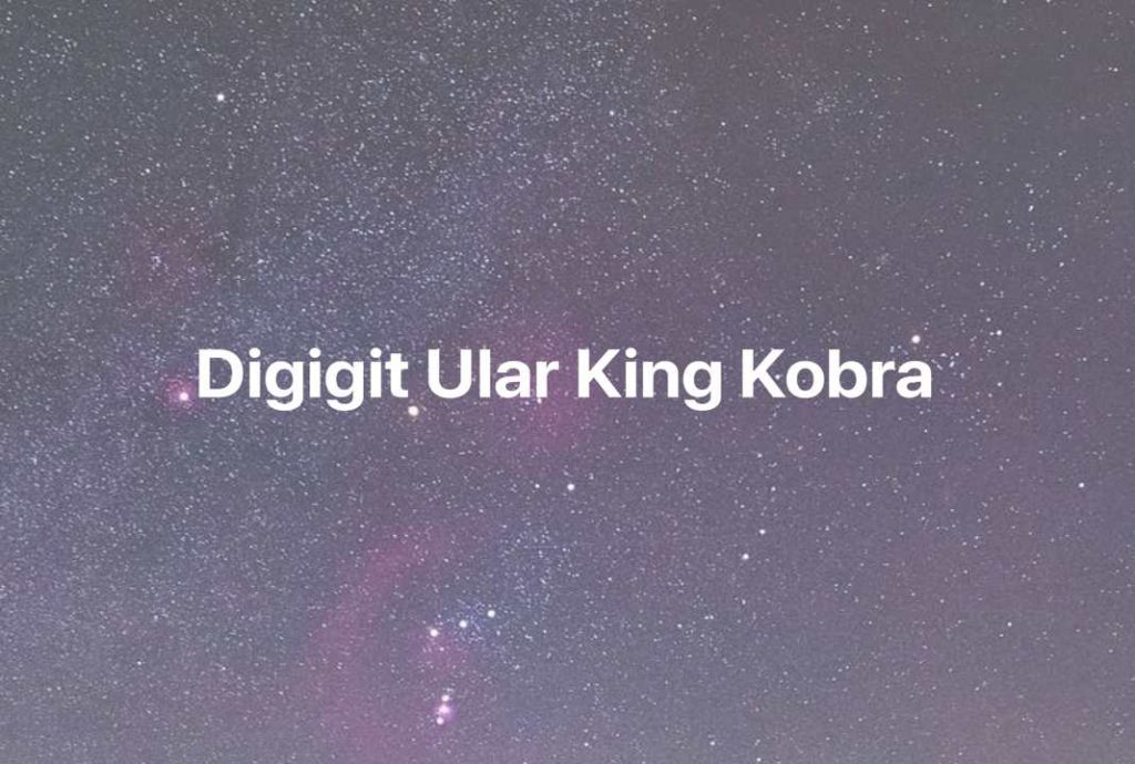 Gambar Mimpi Digigit Ular King Kobra