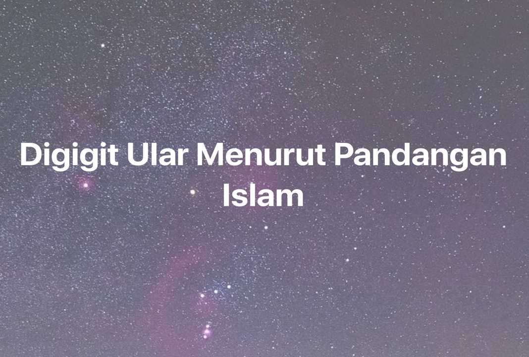 Gambar Mimpi Digigit Ular Menurut Pandangan Islam