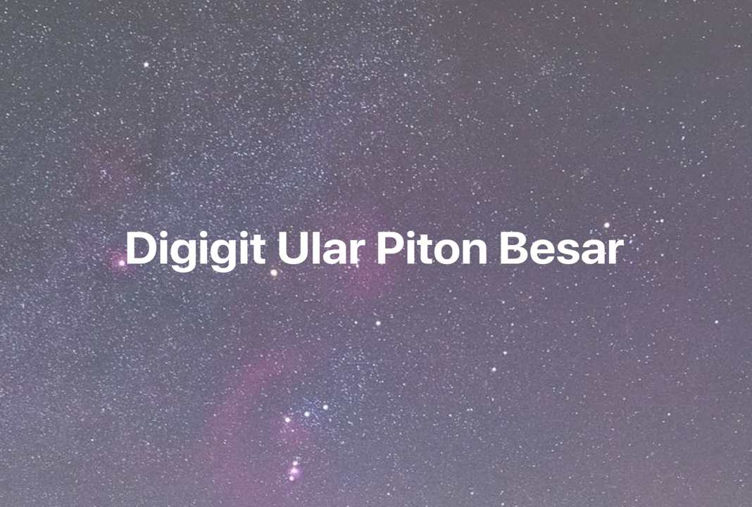 Gambar Mimpi Digigit Ular Piton Besar