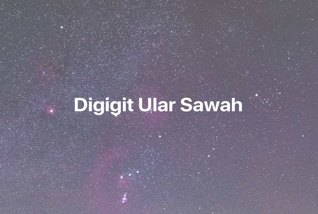 Gambar Mimpi Digigit Ular Sawah