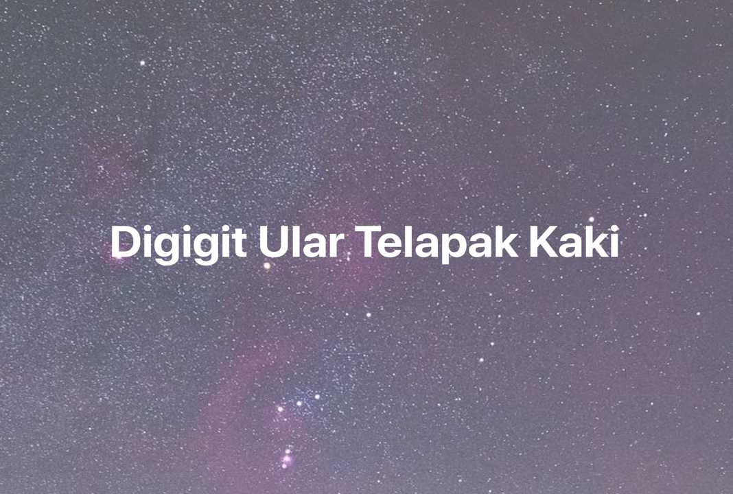 Gambar Mimpi Digigit Ular Telapak Kaki