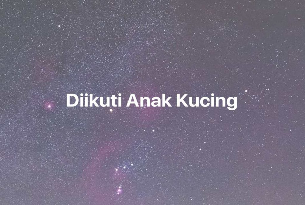 Gambar Mimpi Diikuti Anak Kucing