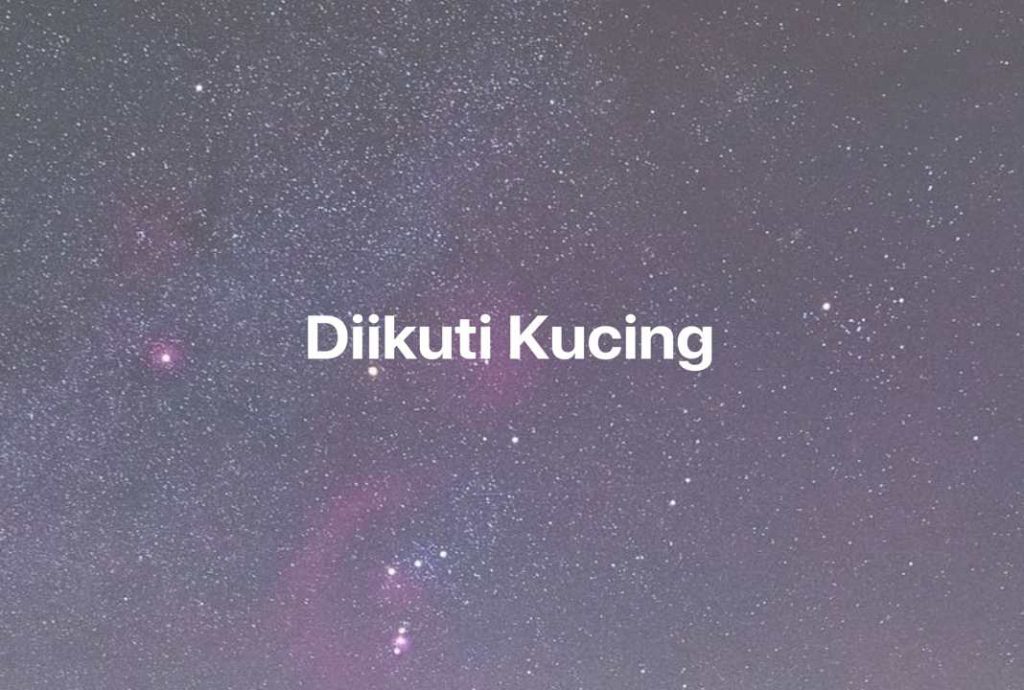 Gambar Mimpi Diikuti Kucing