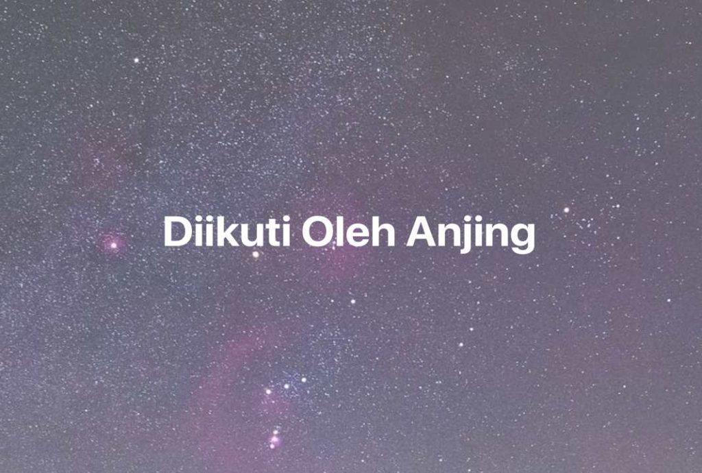 Gambar Mimpi Diikuti Oleh Anjing