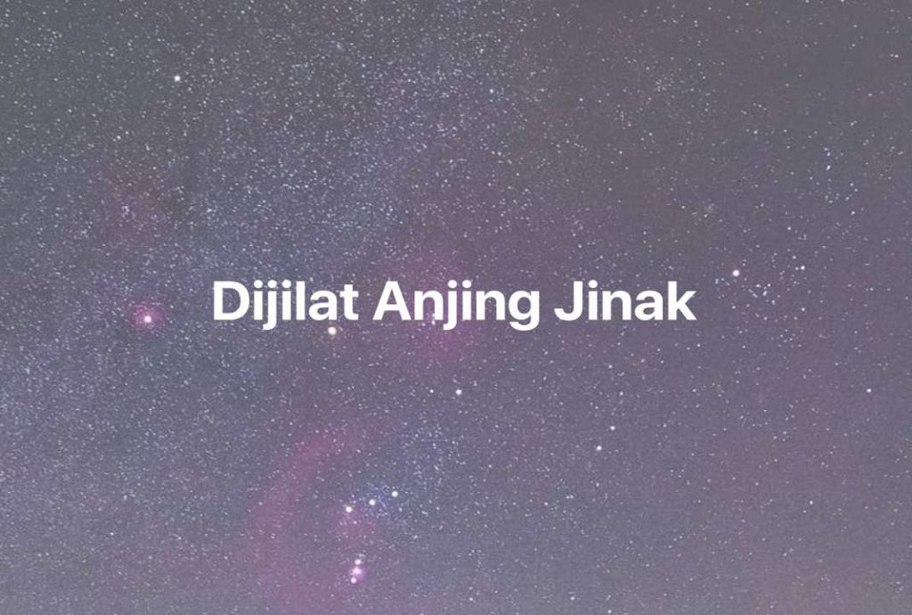 Gambar Mimpi Dijilat Anjing Jinak