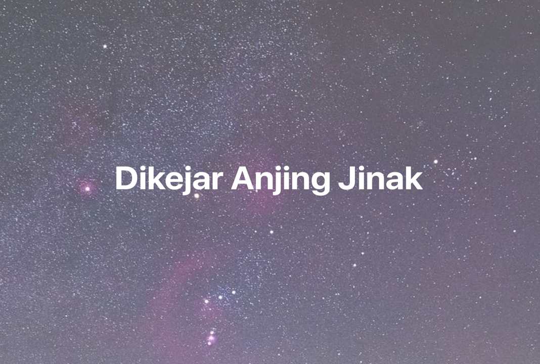 Gambar Mimpi Dikejar Anjing Jinak