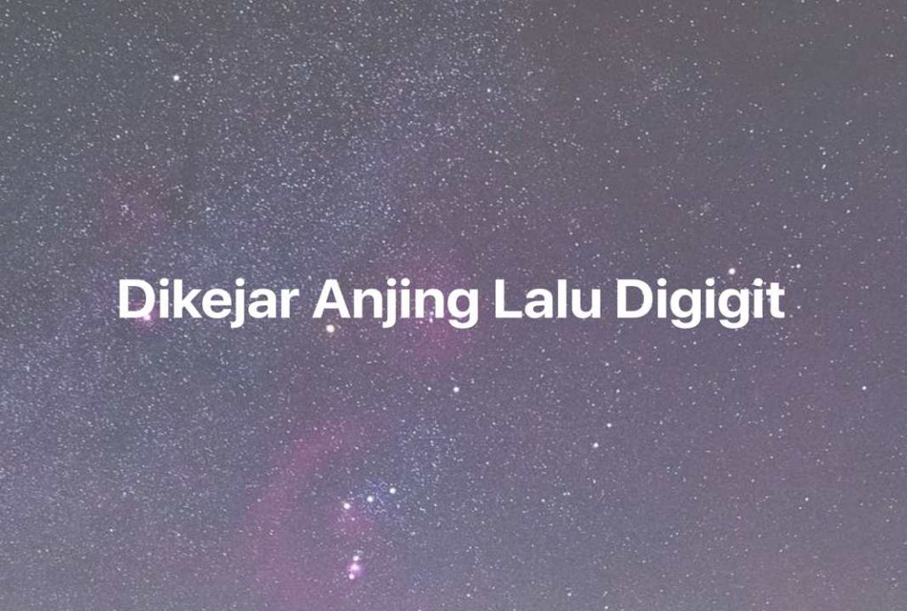 Gambar Mimpi Dikejar Anjing Lalu Digigit