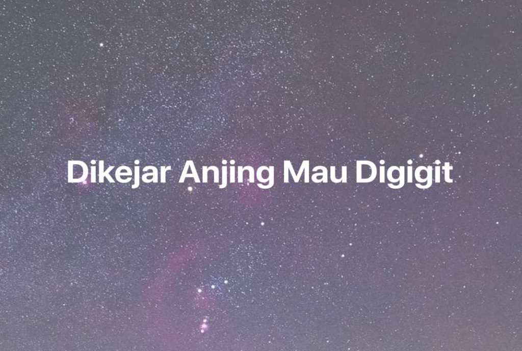 Gambar Mimpi Dikejar Anjing Mau Digigit