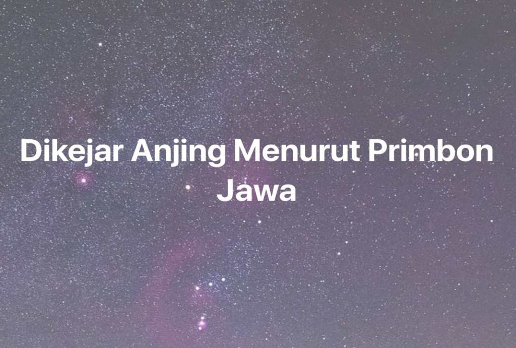 Gambar Mimpi Dikejar Anjing Menurut Primbon Jawa