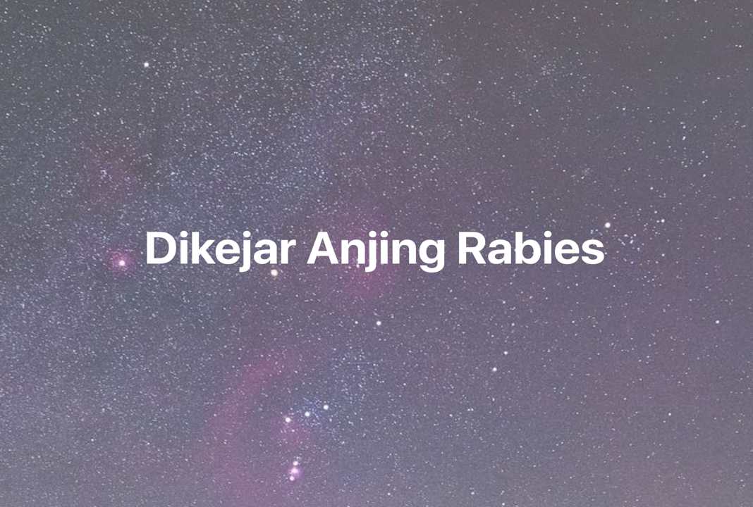 Gambar Mimpi Dikejar Anjing Rabies