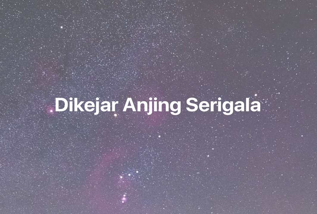 Gambar Mimpi Dikejar Anjing Serigala