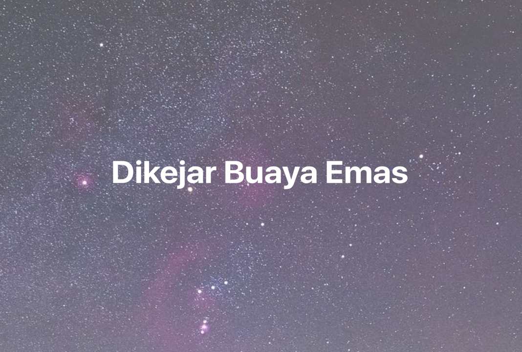 Gambar Mimpi Dikejar Buaya Emas