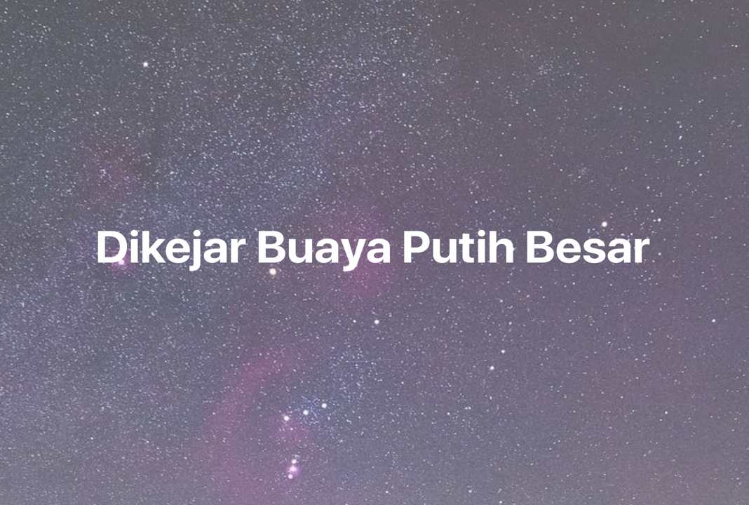 Gambar Mimpi Dikejar Buaya Putih Besar