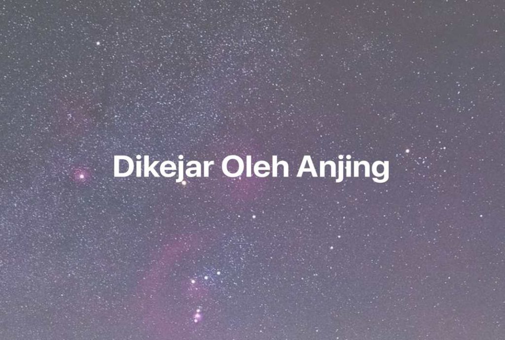 Gambar Mimpi Dikejar Oleh Anjing