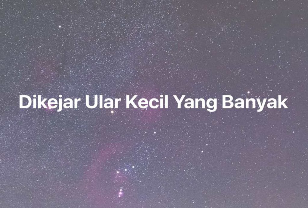 Gambar Mimpi Dikejar Ular Kecil Yang Banyak