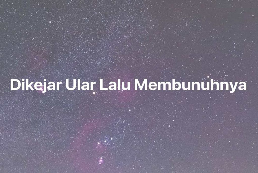 Gambar Mimpi Dikejar Ular Lalu Membunuhnya