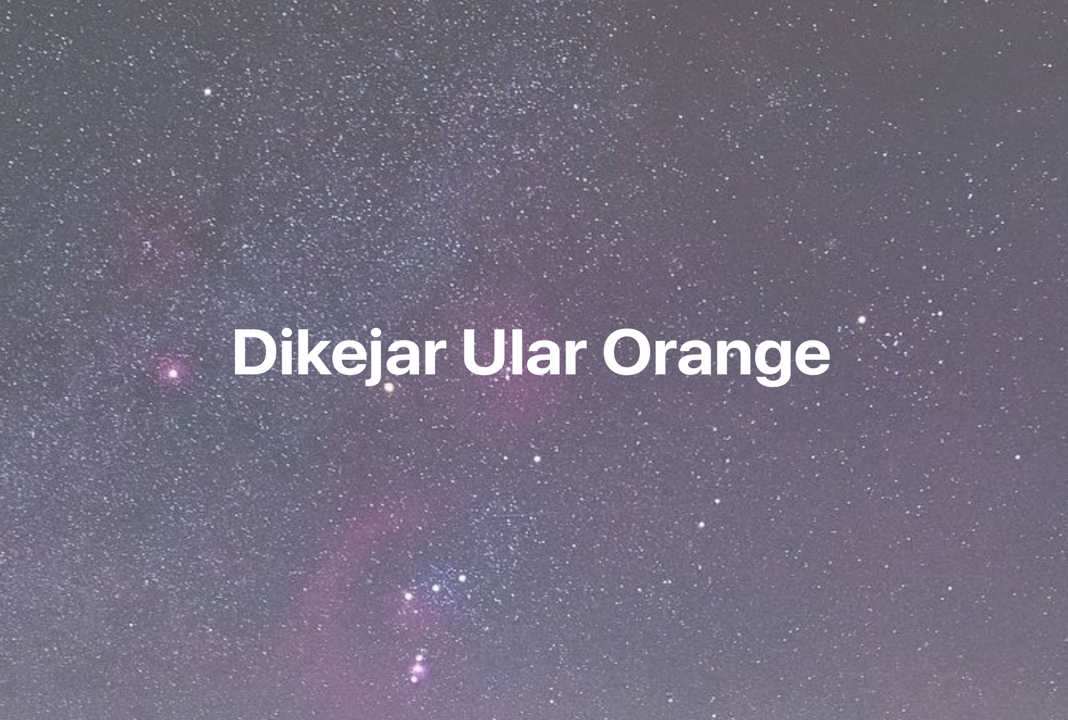 Gambar Mimpi Dikejar Ular Orange