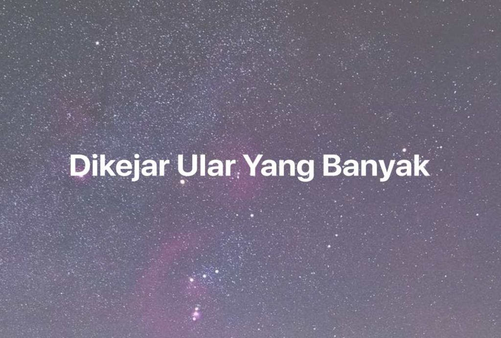 Gambar Mimpi Dikejar Ular Yang Banyak