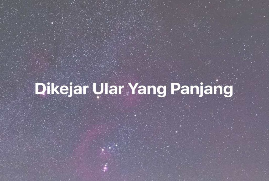 Gambar Mimpi Dikejar Ular Yang Panjang