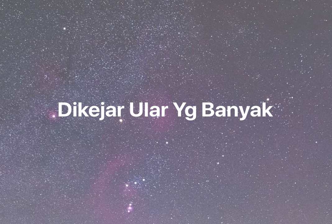 Gambar Mimpi Dikejar Ular Yg Banyak