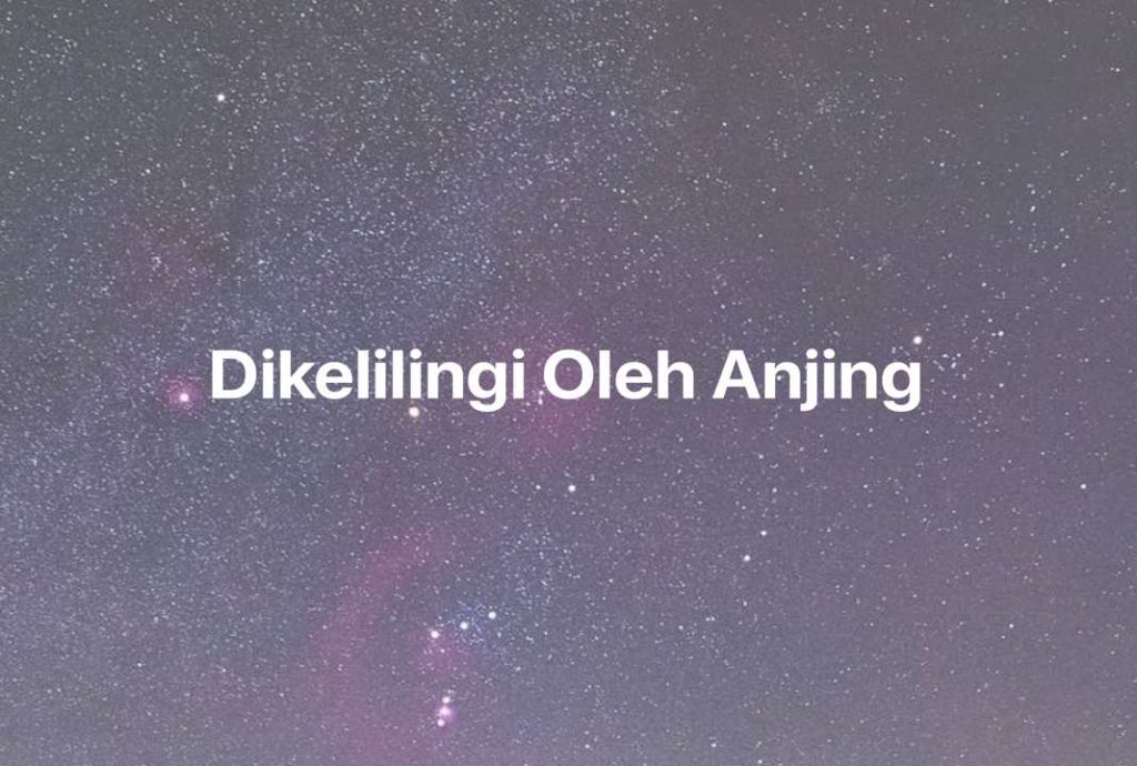 Gambar Mimpi Dikelilingi Oleh Anjing