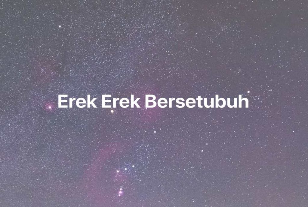 Gambar Mimpi Erek Erek Bersetubuh