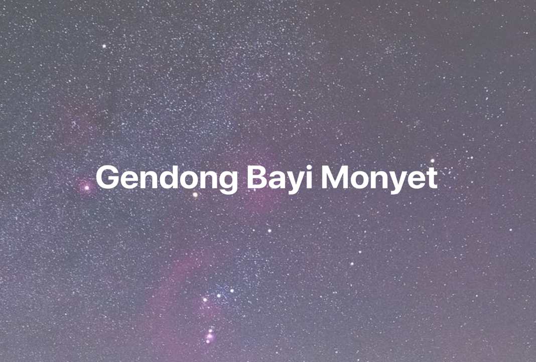 Gambar Mimpi Gendong Bayi Monyet