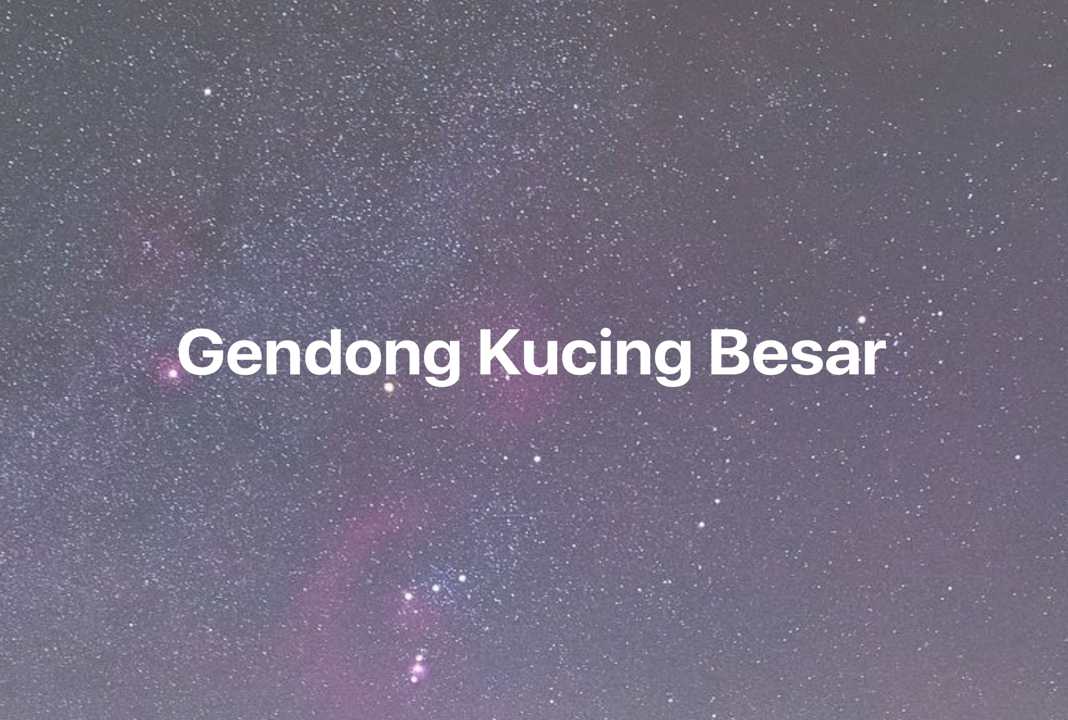 Gambar Mimpi Gendong Kucing Besar