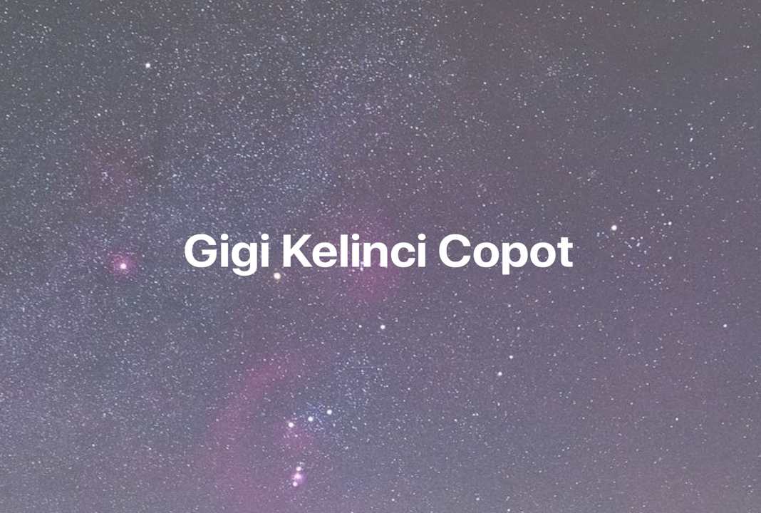 Gambar Mimpi Gigi Kelinci Copot