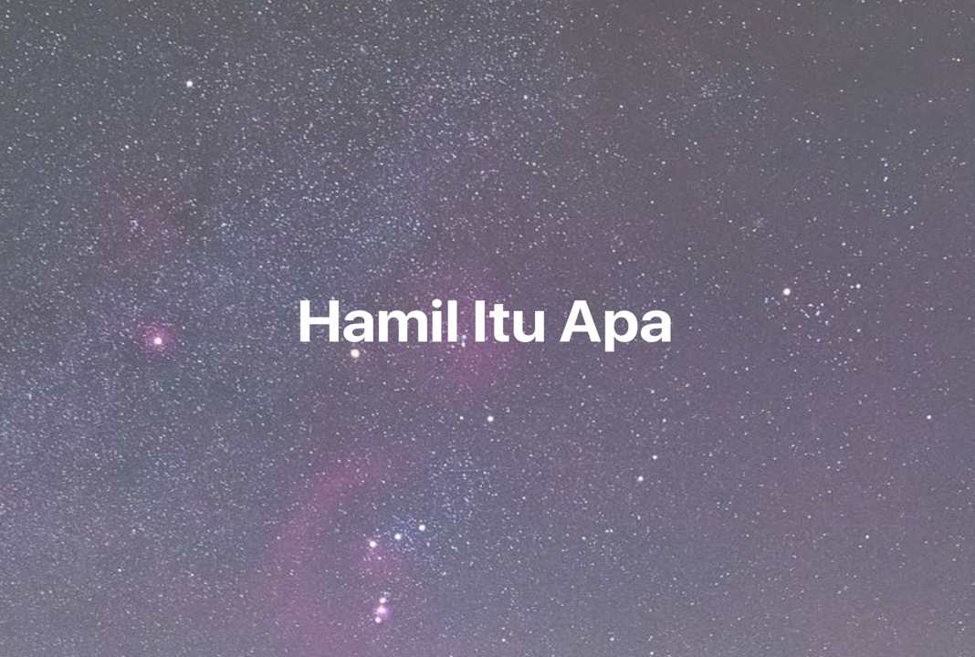 Gambar Mimpi Hamil Itu Apa