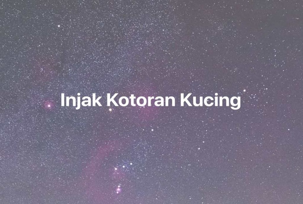 Gambar Mimpi Injak Kotoran Kucing